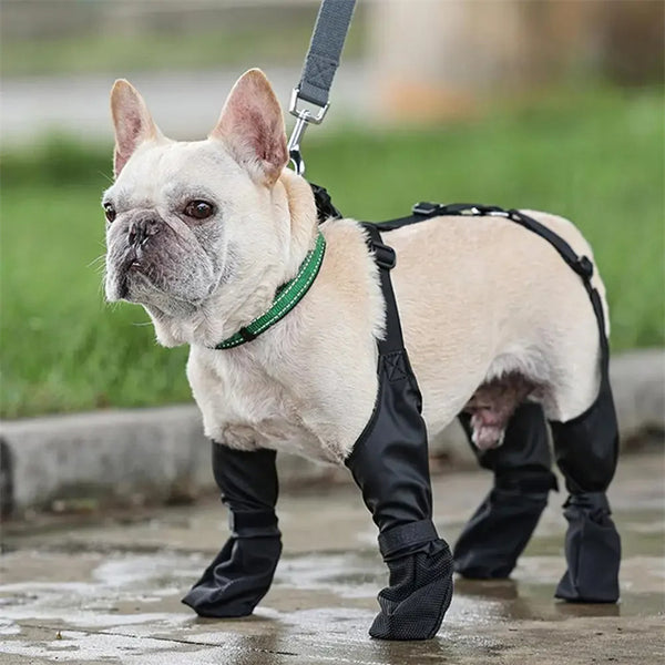 Paw Protect - Adjustable Connected Dog Boots